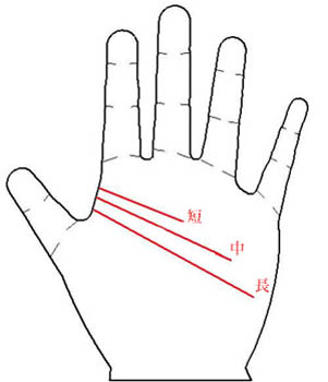 手相图解,手相图解智慧线,智慧线