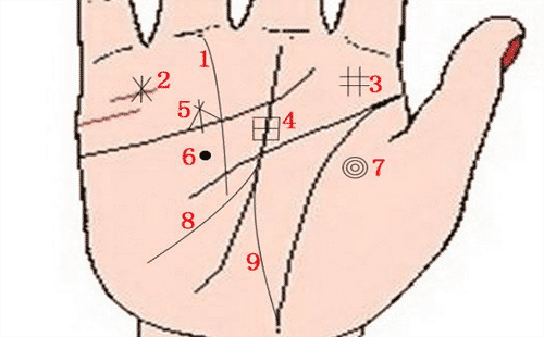 大富大贵的手相：手相上的9大财富纹图解！