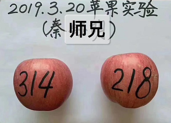 数字能量磁场有多么神奇？简单的水果实验告诉你！