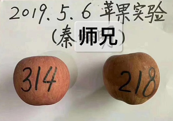 【数字算命】,数字能量磁场有多么神奇？简单的水果实验告诉你！.易经网推荐数字算命