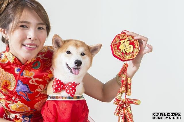 屬狗人按出生年、月、日、時四柱，命局性格查詢！