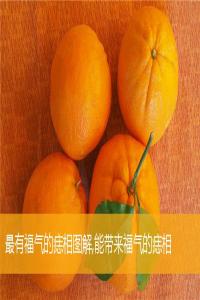 最有福氣的痣相圖解,能帶來(lái)福氣的痣相