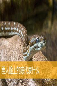 男人臉上的痣代表什么