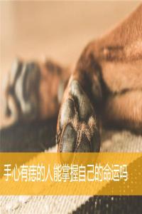 手心有痣的人能掌握自己的命運(yùn)嗎