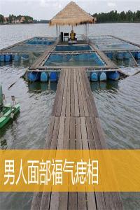 男人面部福氣痣相