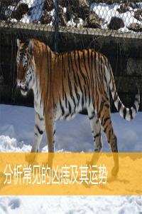 分析常見的兇痣及其運(yùn)勢(shì)
