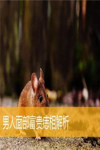 男人面部富貴痣相解析