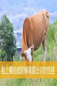 臉上哪些痣能夠暴露出你的性格