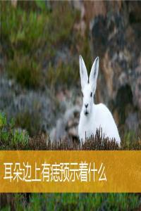 耳朵邊上有痣預(yù)示著什么