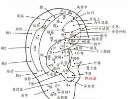 算命的說耳垂有痣的人 男人女人耳垂痣詳解