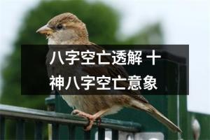 八字空亡透解 十神八字空亡意象