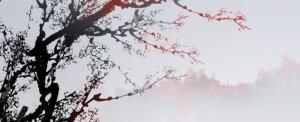 出大官又發(fā)財(cái)?shù)娘L(fēng)水陽宅有什么特點(diǎn)