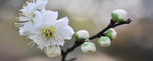 好的陽宅風(fēng)水有什么征兆 光線充裕通風(fēng)好