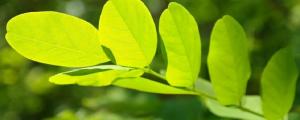 房子陰氣重的5個(gè)表現(xiàn) 怎么看陰氣重不重