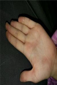 一擊即中接財(cái)來正確生肖