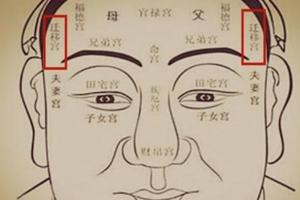 1953屬什么生肖(1953年出生的人屬相)