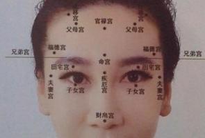 十二生肖五行對(duì)照表完整版(十二生肖與五行對(duì)照表)