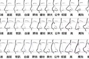 沖生肖是什么意思(沖生肖但是是吉日)