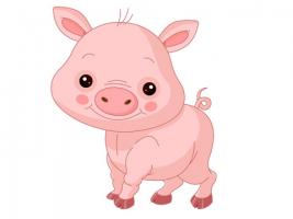 2019年出生的孩子是什么命