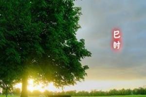 巳時(shí)是幾點(diǎn)到幾點(diǎn)，巳時(shí)出生的男女命運(yùn)