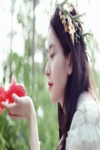 追求白羊女的雷區(qū)