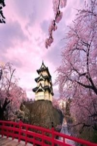 雙子座該注意什么