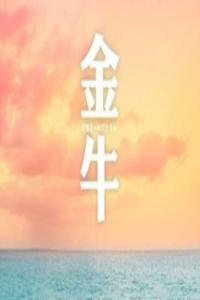金牛座的理想情人