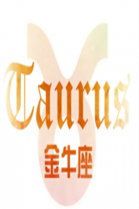 金牛座如何面對前任