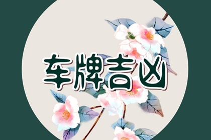 车牌尾号u是什么意思 u结尾怎么样