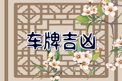 最吉利最旺財(cái)車牌尾數(shù) 數(shù)字6易獲意外之財(cái)