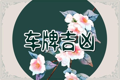 【数字算命】,生肖蛇车牌号怎么选 最聚财吉祥的车牌数字.易经网推荐数字算命