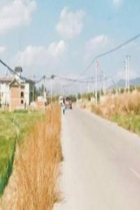 獅子座善變嗎