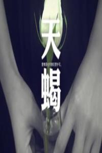 天蝎座寂寞會怎么做