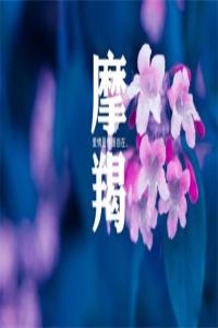 愛上摩羯座有多累