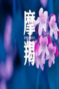 摩羯座寂寞會怎么做