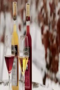 水瓶座喝醉酒后的表現(xiàn)