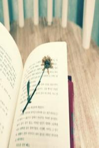 雙魚座是最聰明的嗎