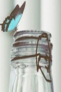 雙魚座最恨什么樣的人