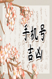 車牌選號(hào)碼吉兇 車牌尾號(hào)是9是最好的嗎