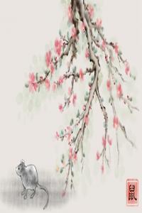 生肖鼠：號(hào)碼尾數(shù)有這三個(gè)數(shù)，名利雙收，富貴雙全！