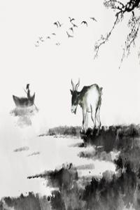 生肖羊：號(hào)碼尾數(shù)有這三個(gè)數(shù)，名利雙收，富貴雙全！