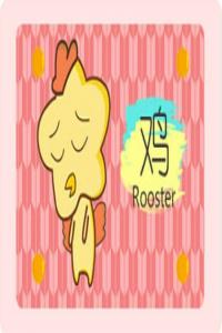 生肖雞：號(hào)碼尾數(shù)有這三個(gè)數(shù)，名利雙收，富貴雙全！