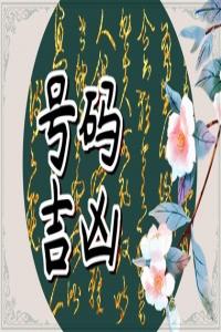 盤點(diǎn)最新手機(jī)號(hào)最旺財(cái)?shù)?位尾數(shù)!手機(jī)尾數(shù)29究竟好不好?