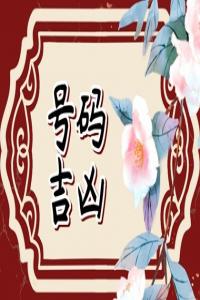 車牌什么號(hào)碼最吉利 車牌號(hào)最吉利最發(fā)財(cái)?shù)臄?shù)字