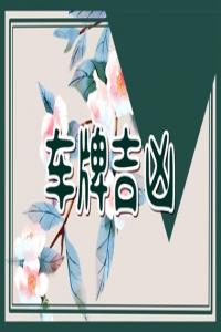 適合屬龍的車牌號碼和字母 車牌號碼數(shù)字選擇的原則