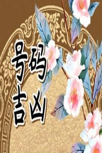 手機(jī)號(hào)碼尾號(hào)是數(shù)字幾比較好 手機(jī)靚號(hào)尾號(hào)推薦