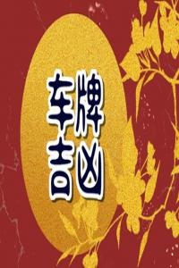 車牌號全是奇數(shù)該怎么辦 車牌號全是單數(shù)好嗎