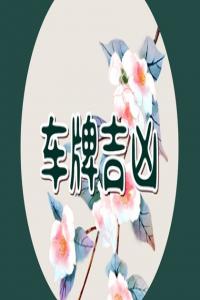 車牌號(hào)290吉利嗎 290數(shù)字命理