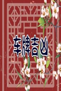 富豪車牌號(hào)為什么有3 數(shù)字3的含義