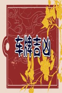 屬蛇人最旺車牌號尾號 最旺號碼組合